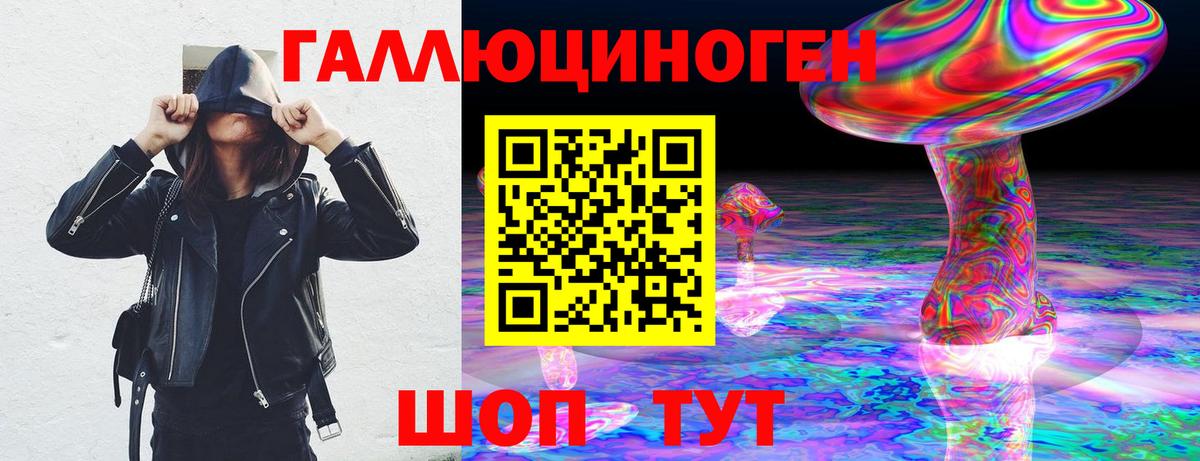 Псилоцибиновые грибы прущие грибы  Вход с VPN  Гусев 