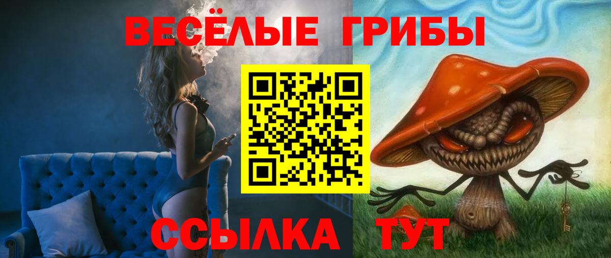 Псилоцибиновые грибы Psilocybine cubensis Гусев